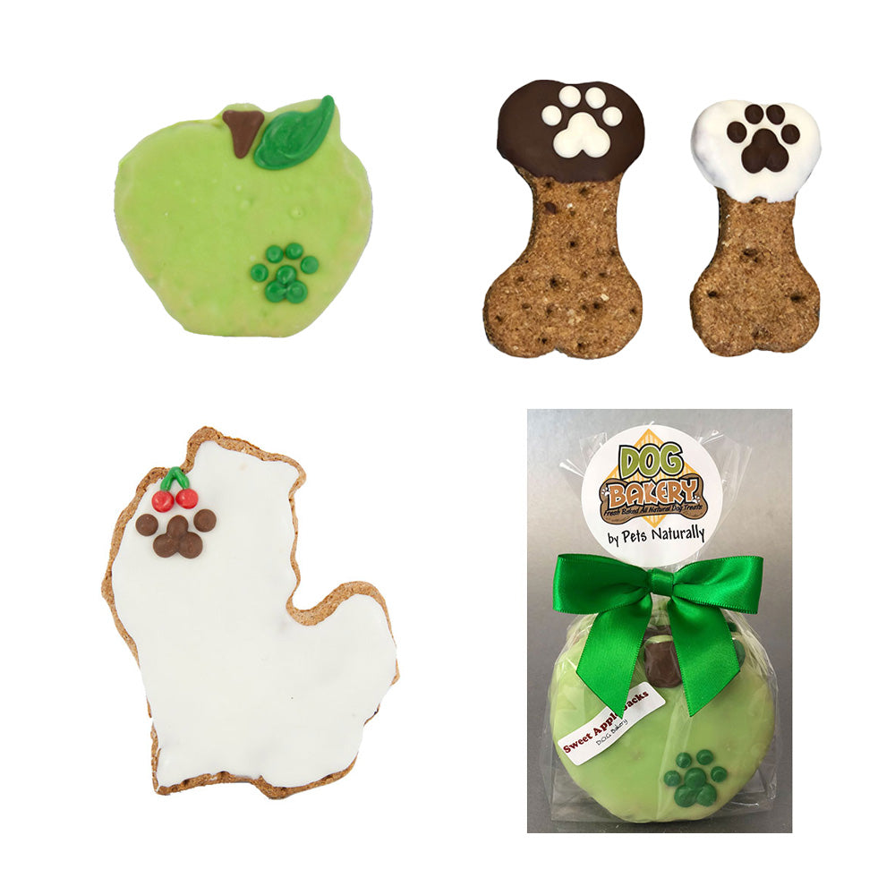 Everyday Decorated Dog Treats