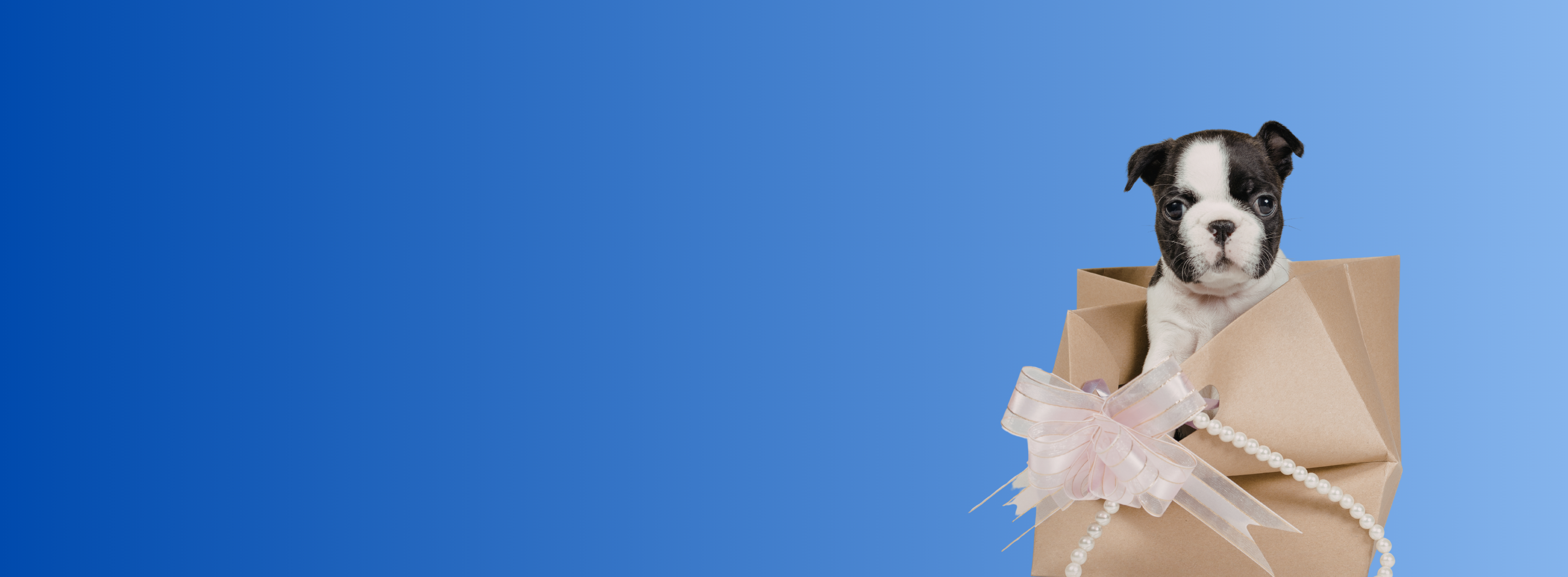 Hero Banner