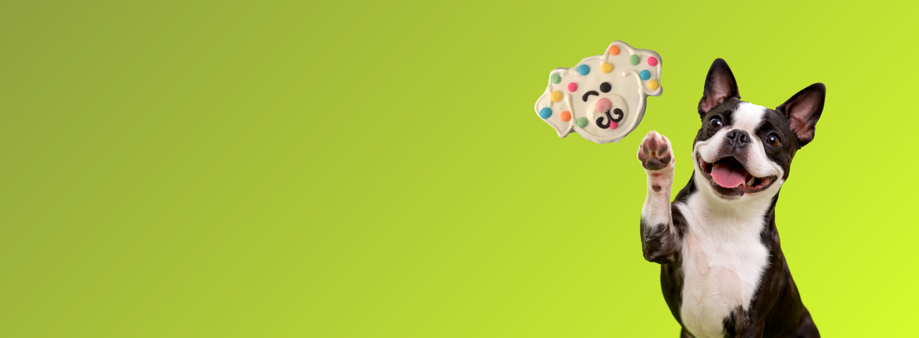 DOG Bakery gallery
