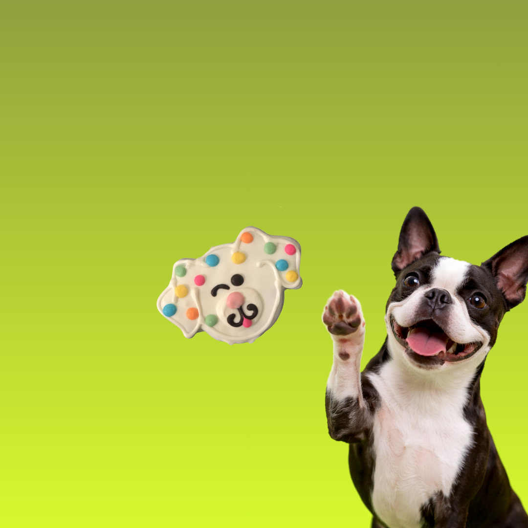 DOG Bakery gallery