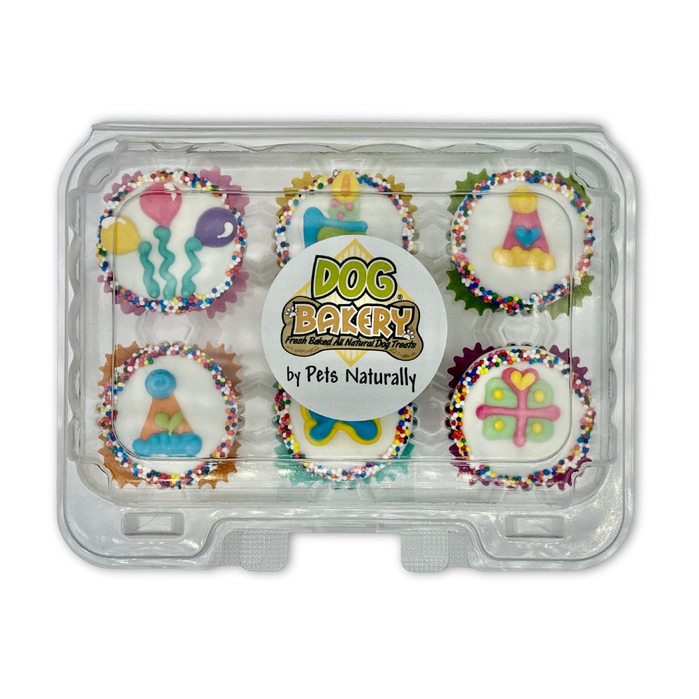 Mini Pup Cup 6-Pack Birthday Treats – Dog Bakery by Pets Naturally