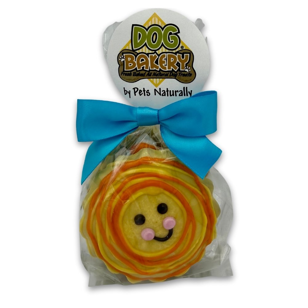 Wholesale Summer Bag of Dog Treats 4 Pack