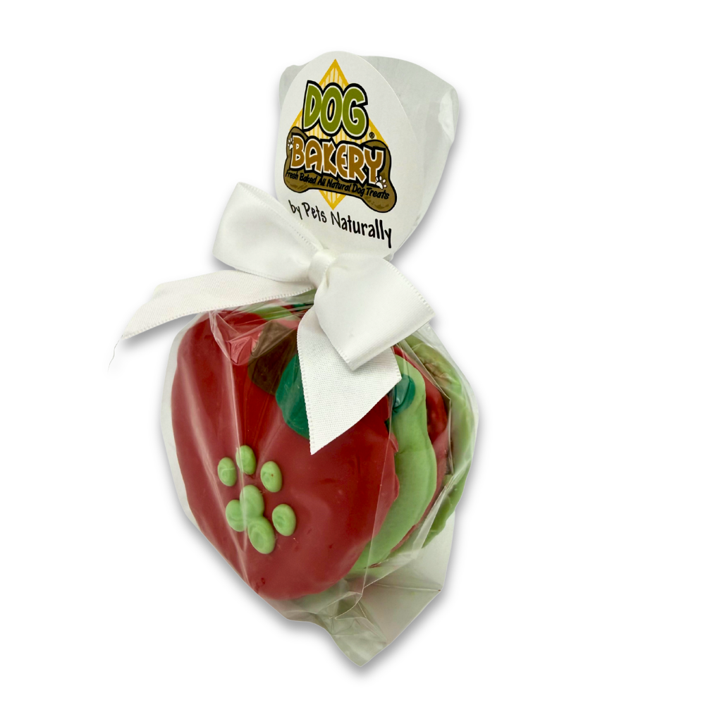 Sweet Apple Jacks 4 Pack Dog Treats