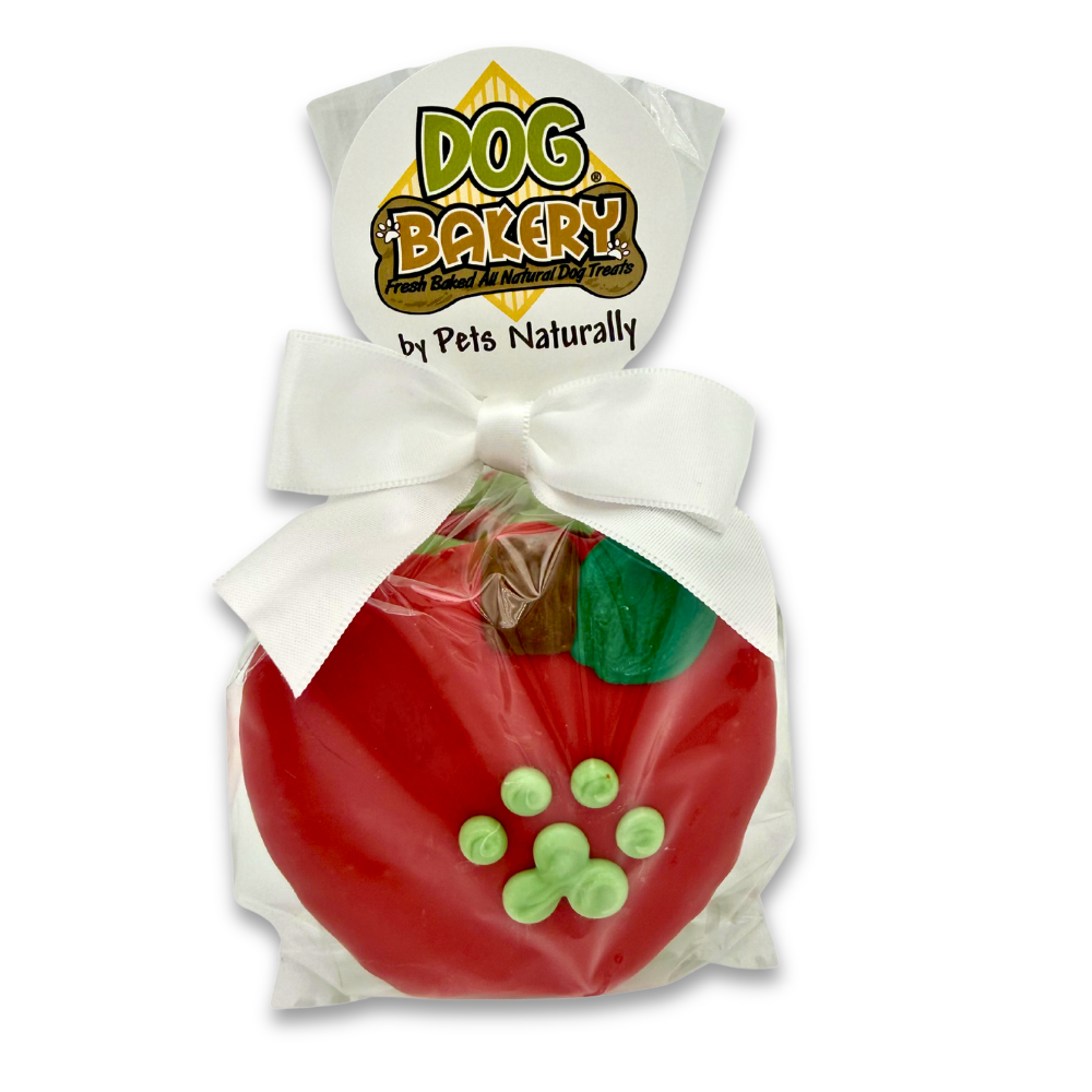 Sweet Apple Jacks 4 Pack Dog Treats