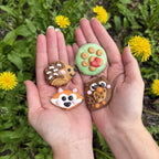 Mystery Critters